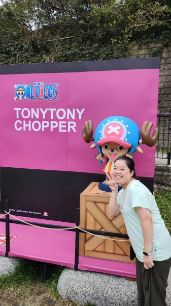 新竹航海王2938926