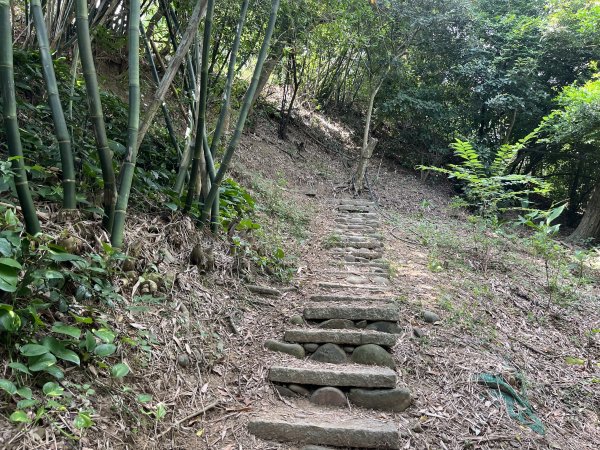 [皮皮獅探險隊-03/10] 2025_0706 犁頭山、文山步道2831465