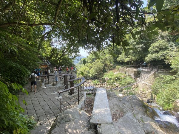 《十八份水圳步道 × 草山觀瀑吊橋 × 大屯瀑布 × 小隱潭瀑布｜陽明山夏日消暑健2856017