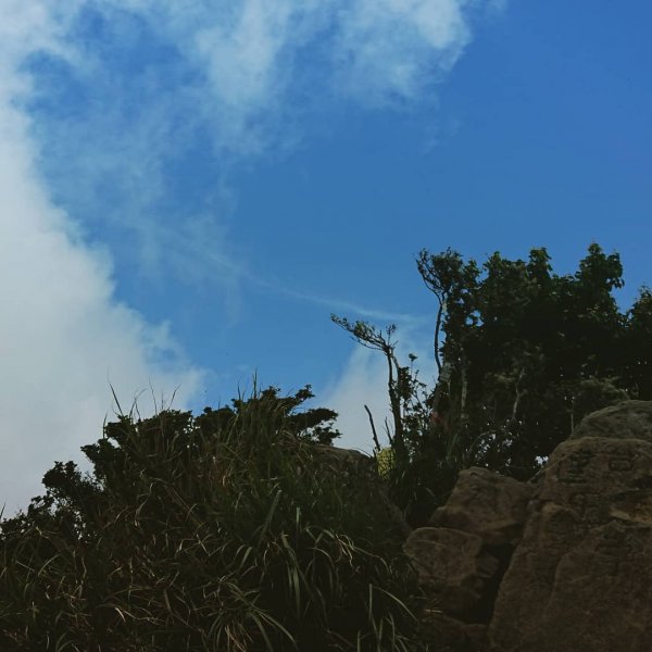 加里山202007051026593