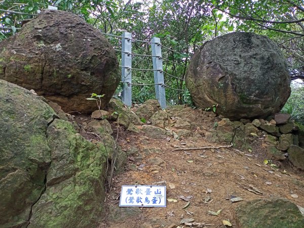 鶯歌忠義山、鶯歌蛋山、觀景山、鶯歌石山、鶯歌石O型快樂行【走路趣尋寶】