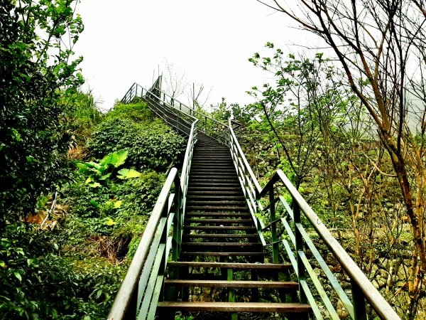 走遍陽明山：大屯山系｜青楓、中正山步道2085911