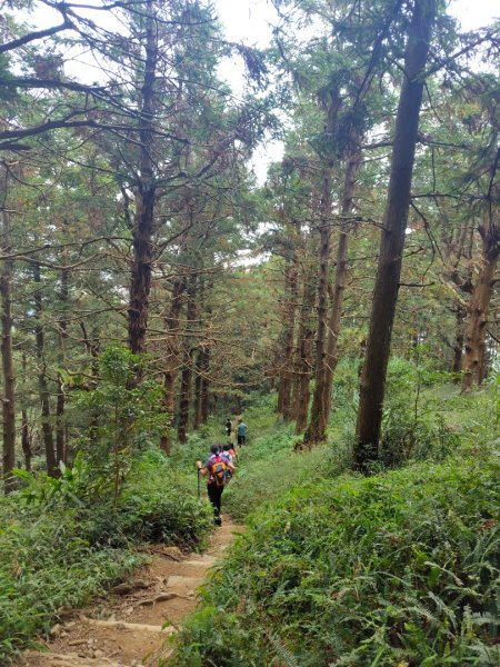 長壽山、肥崠山、醜崠山、大崠山、大崠山經建版2931628
