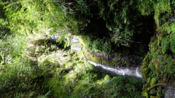 雙龍林道上巒安堂西巒大山1778614