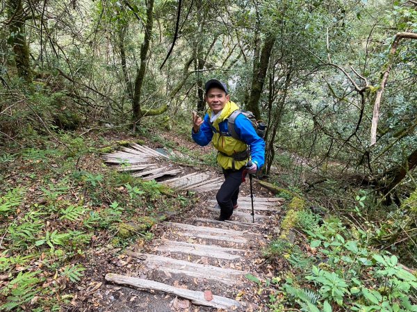 未完成的關山+庫哈諾辛山【山永遠都在 但冰封的山林不常在】2429389