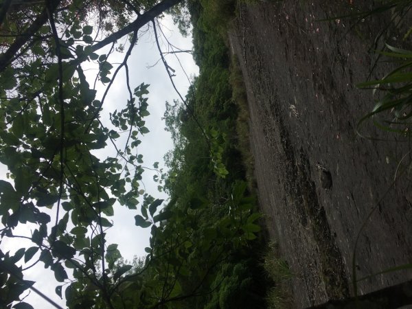 分遣所、斜壁2774337