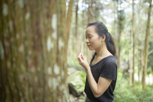 【活動】森林系沉浸式體驗 用香氣收藏專屬你的八仙山春天記憶