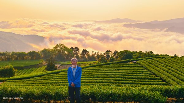 #坪林 #日出 #雲海 #茶園 4/103033092