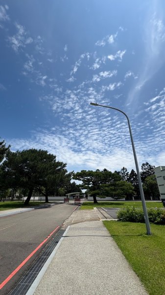 綠衫林公園2800890