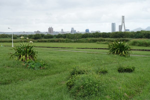 雙園河濱公園．華江雁鴨自然公園1124248