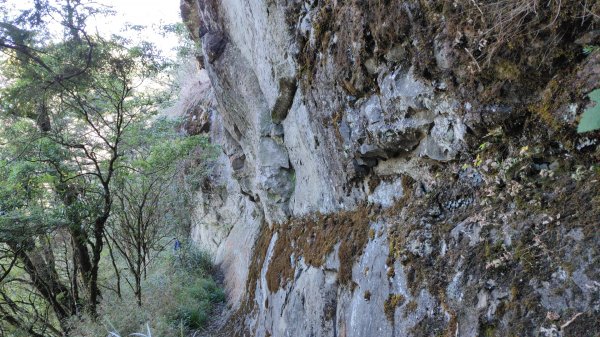 小塔山2291峰探勘山羊關泉水仙洞去兜山2351436