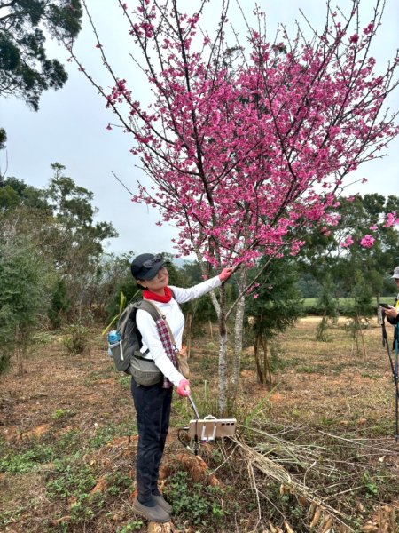 20260127三通嶺山.三義山(大桁茂山).慈濟山.大坪山大O走2990016