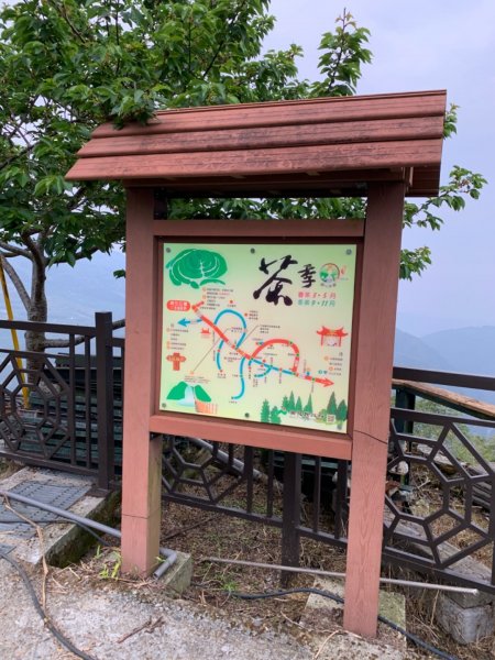 竹山八卦茶園931692