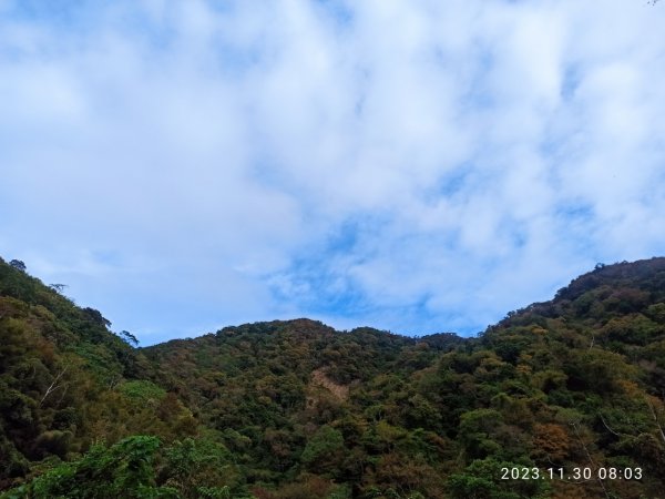 虎山西南峰、虎山（石壁探險、台灣櫸）2365000