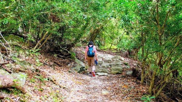 知本森林遊樂區3015080