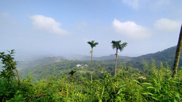 竹子尖山/獵鷹尖一線天環狀1464606