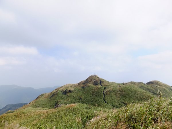 20181027_七星山-冷水坑-擎天崗485197