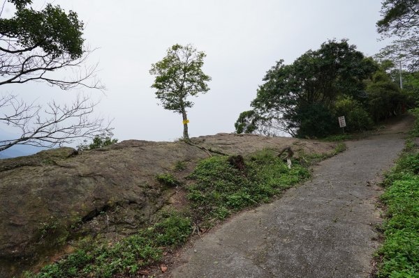 新竹 峨嵋 獅頭山、獅尾山、六寮山、猿山2450089