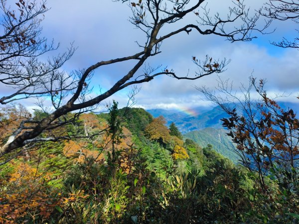 1121125 鳥嘴山縱走貴妃山2363976