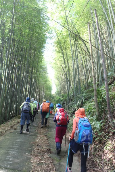 20210926南投圓山坑林道登鳳凰山下忘憂森林1473463