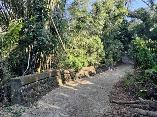 【新竹縣新埔鎮】飛龍步道2833127