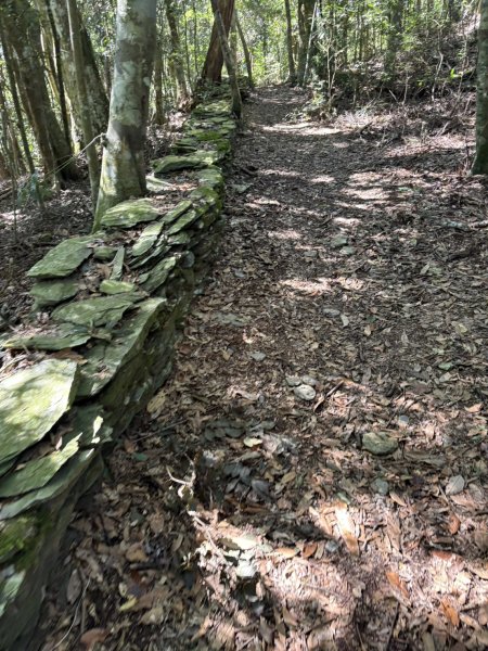 20251116鳴海山、網子山登山步道2938458