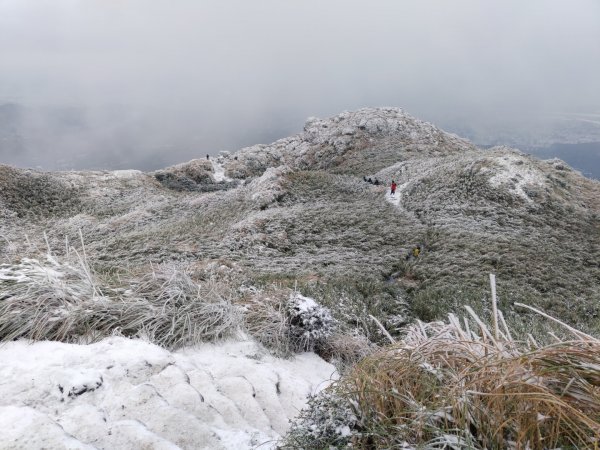 真假！七星山下雪1235073