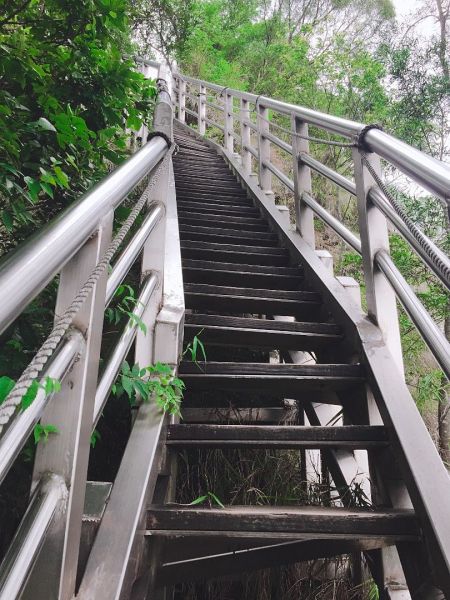 新田登山步道2018.6.30359051