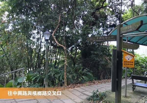 新店獅頭山（小獅山）步道，長春路至中興路單程一小時，1.6 公里1487228