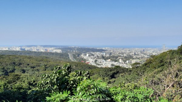 《新竹》湖口老街｜金獅古道O繞茶香及仁和步道202412062663720