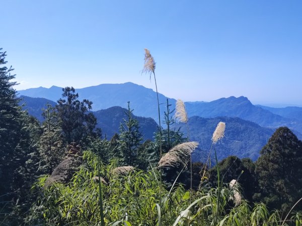 油羅山-新竹縣五峰鄉2426642