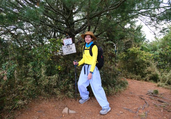 塔塔加五連峰2948762