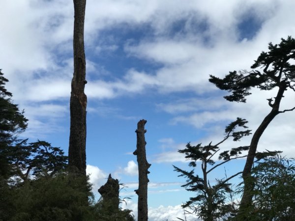 奇萊南華光被八表單攻692091