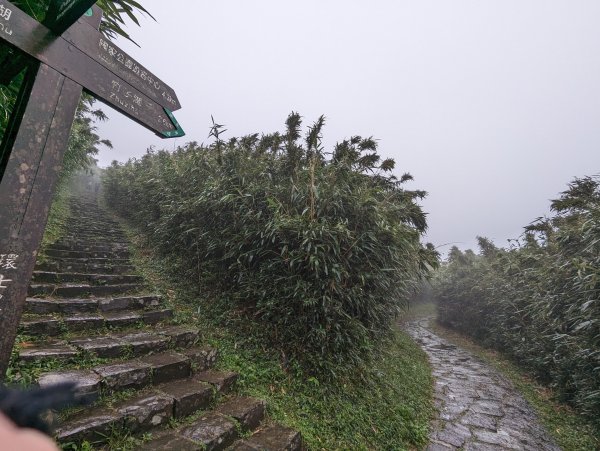 2023-12-23 臺北大縱走第二段2793121