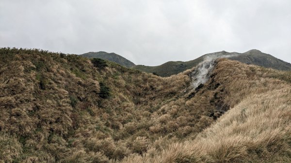 20230128_臺北大縱走第三段_小油坑至風櫃口2009700