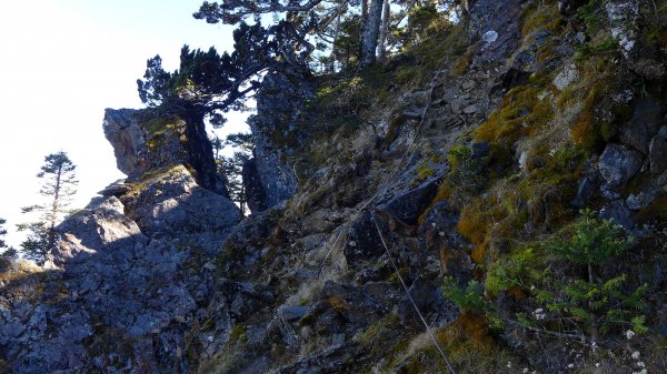 大好天氣的奇萊東稜488940