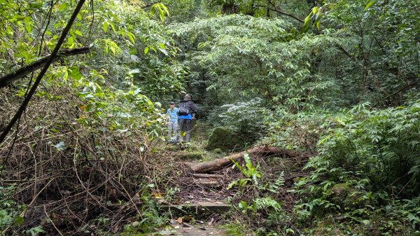 114.11.15平溪小黃山段-望古瀑布段之旅2937786