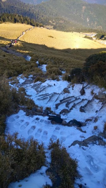 缺哩の合歡東峰2569927