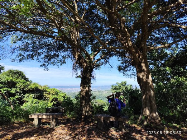 翠山步道、大崙頭尾山親山步道【臺北健走趣】2874307