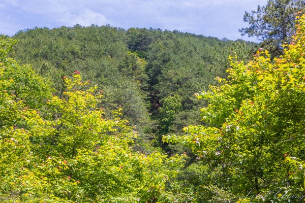 [百岳]大小劍未完2784253