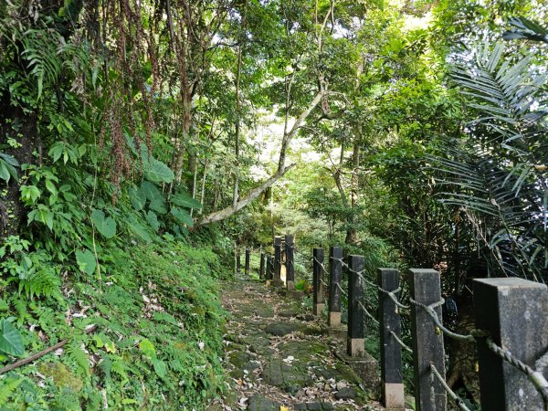 五指山橫向登山步道 - 2024森遊竹縣皮皮獅Hike客任務2555819