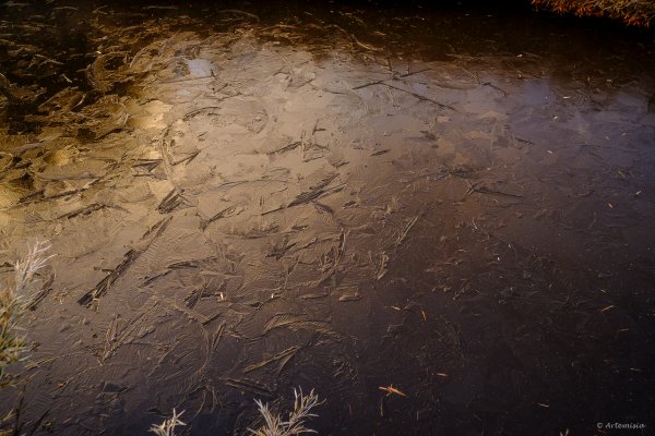 [冬訪大霸聖山岳參行]-榮耀桂冠B'bu' Papak聖稜精選輯2974753
