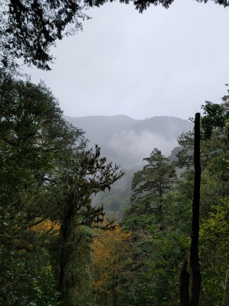 福巴越嶺國家步道2364591