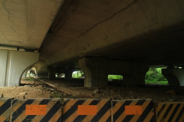 桃園新屋綠廊自行車道202211271968475