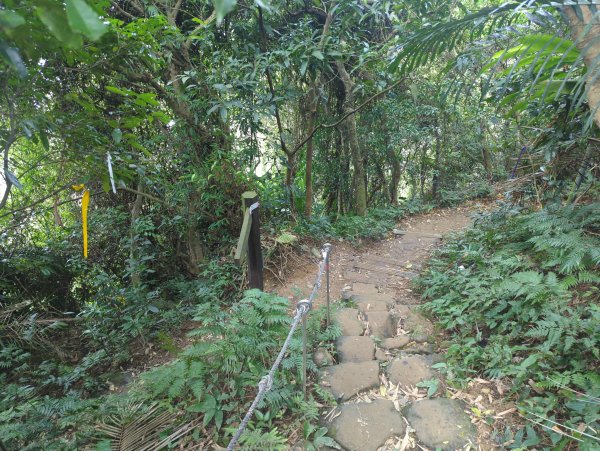 2026.01.25－微笑山線：【天上山系】烘爐地土地公段2994633