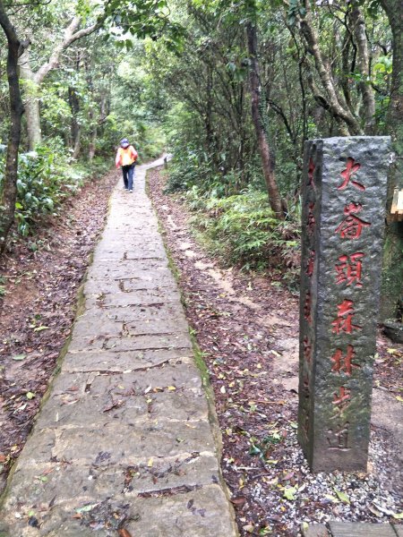 大崙頭山1299825