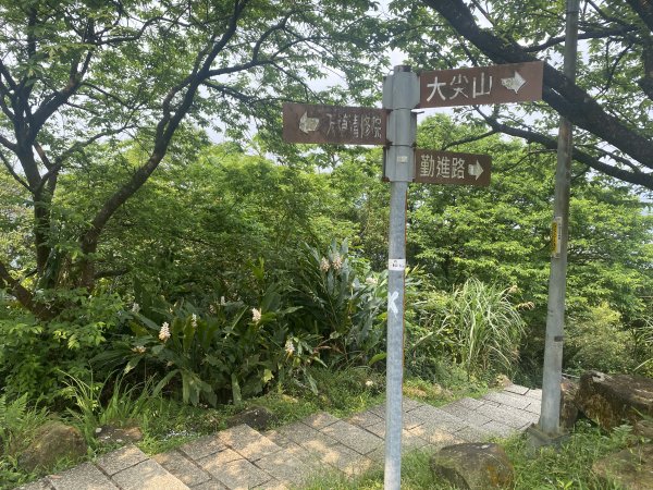 《城市與山的交界線｜大尖山連走四分尾山》O繞路線＋秀峰瀑布＋遇見養蜂人🐝3056650