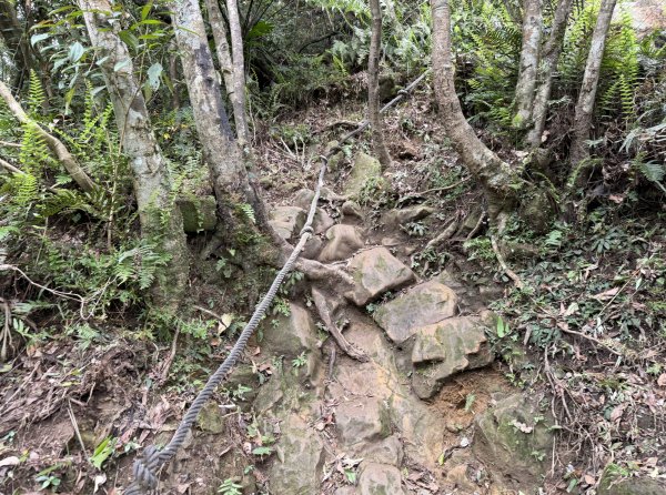 [微笑山線_第八段] 2026_0411 二格山系_筆架山南峰3035188