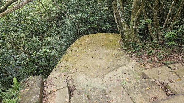 20250625遠望坑口-遠望坑崙-176峰-陸軍路礦864-遠望坑山O型2826166