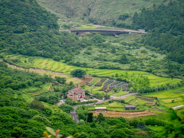 【行腳陽明山】初夏裡蒼翠欲滴的環七星山與百拉卡公路人車分道2188674